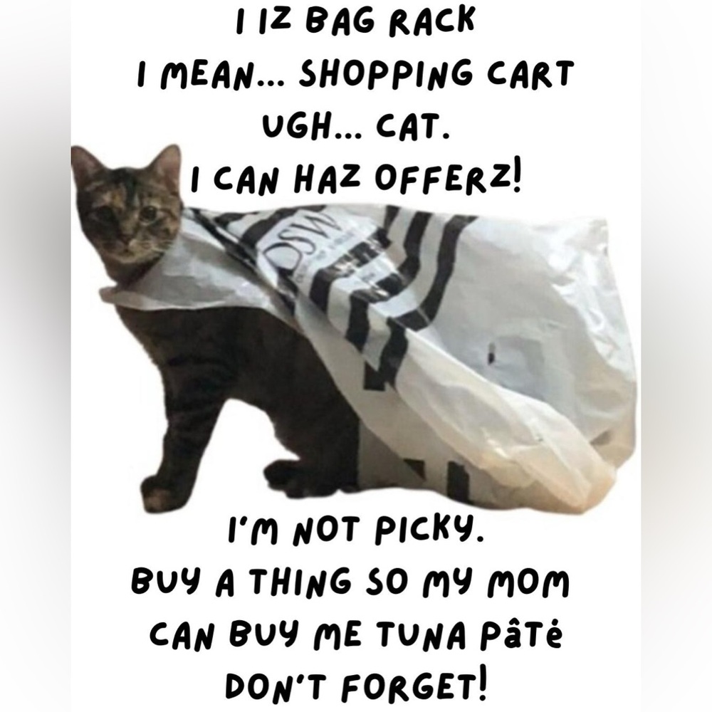 🐈 ALL OFFERS WILL BE SNIFFED 🐈